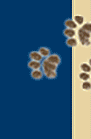 Foot Steps