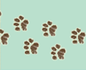 Foot Steps