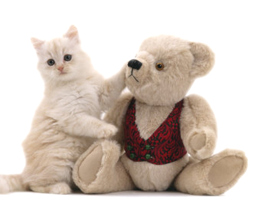 Kitty and Bear