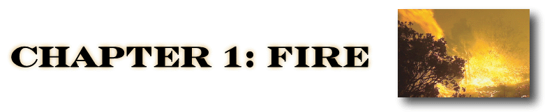 Chapter One Fire