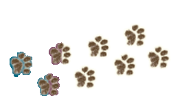 Feet