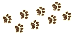 Paw Prints